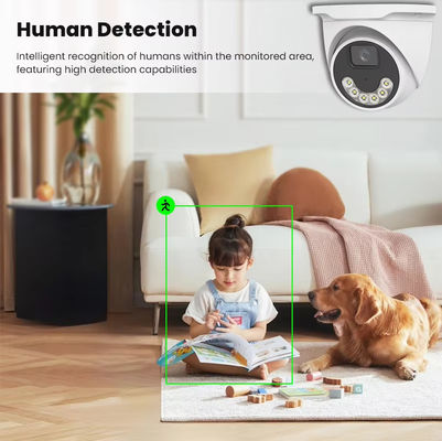 Full Color Dome CCTV IP Camera 4MP 5MP Night Vision Network Camera Ip POE  Cctv Dome Security Camera